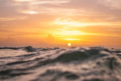 日落时水体的浅聚焦摄影